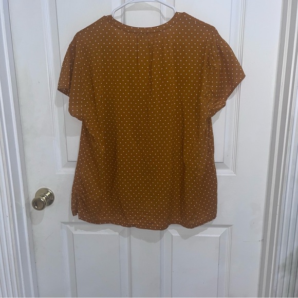 Brown Polka Dot Women's Top - Picture 4 of 4